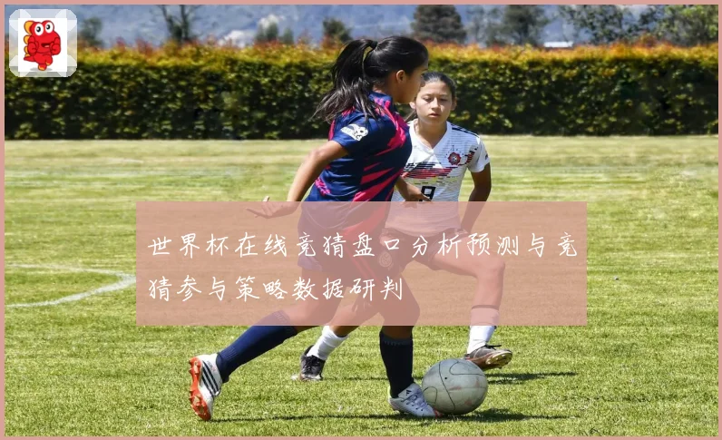 世界杯在线竞猜盘口分析预测与竞猜参与策略数据研判