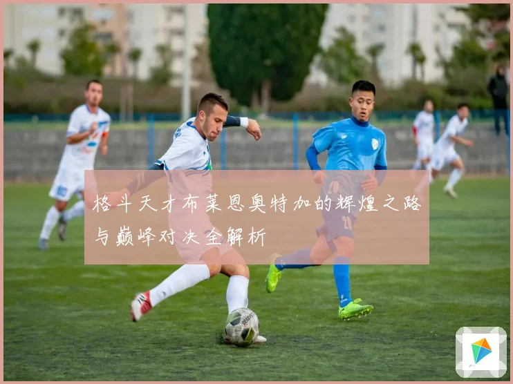 格斗天才布莱恩奥特加的辉煌之路与巅峰对决全解析