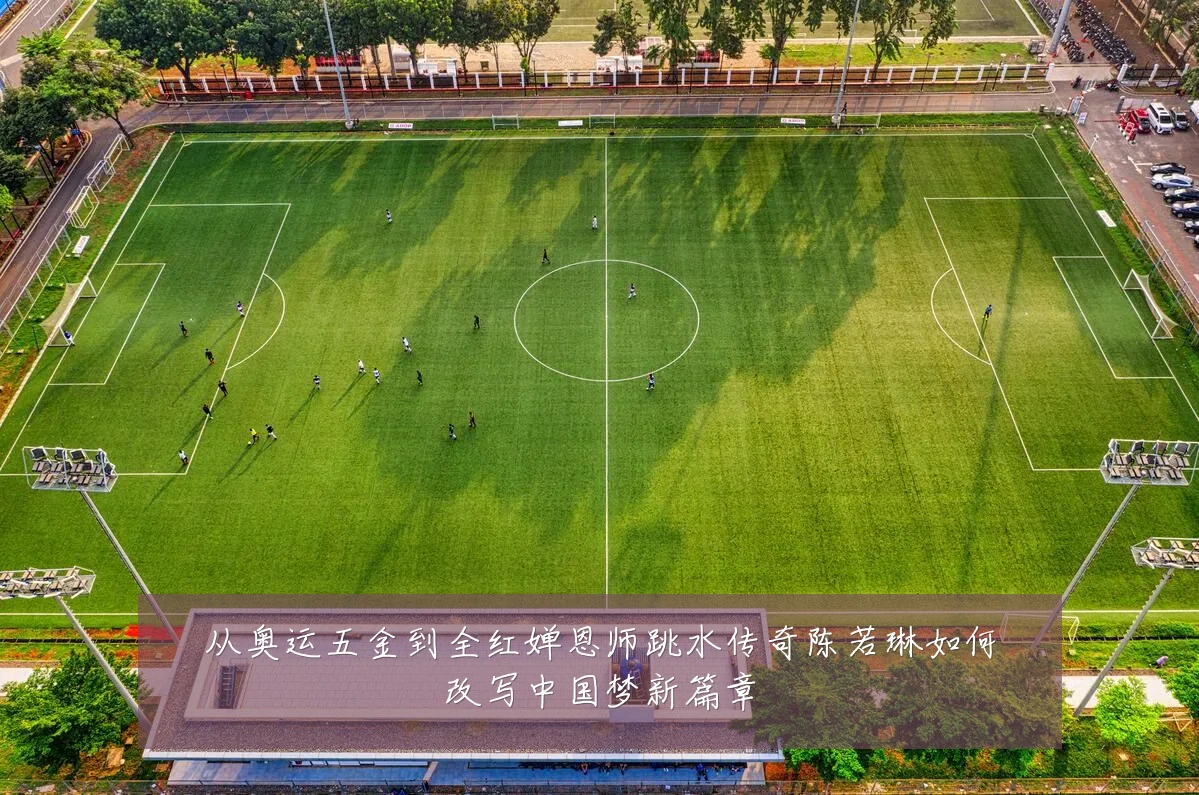 从奥运五金到全红婵恩师跳水传奇陈若琳如何改写中国梦新篇章